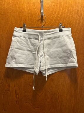 NWOT Brandy Melville Light Blue Cotton Shorts